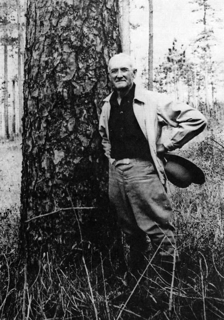 Herbert Stoddard