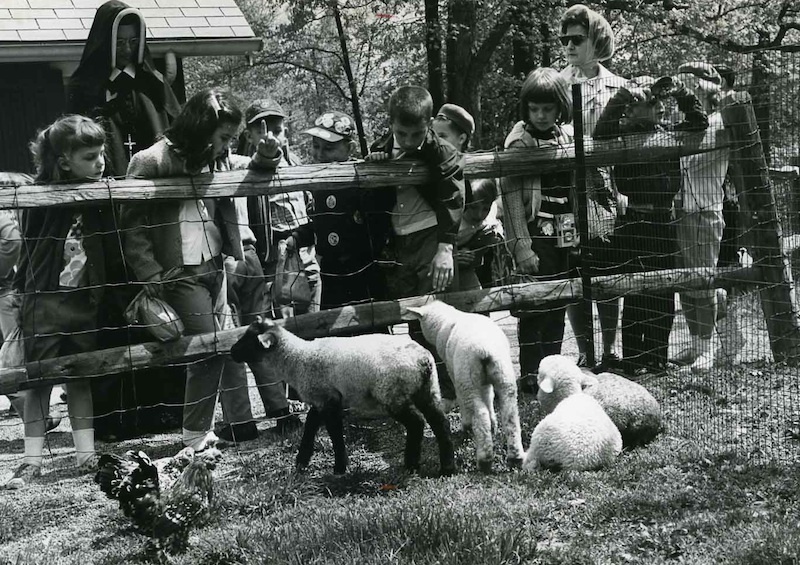 Children's Farm, ca 1959