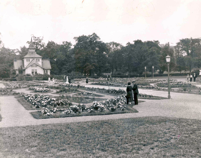 Rose Garden, 1931