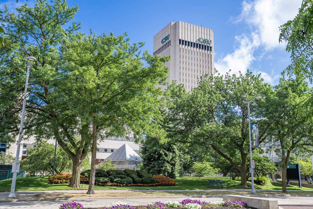 Along Euclid Avenue