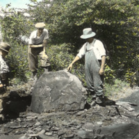 A Dunkleosteus Discovered at Big Creek Reservation, 1930