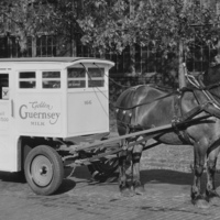 "The Old Milk Wagon of South Euclid"